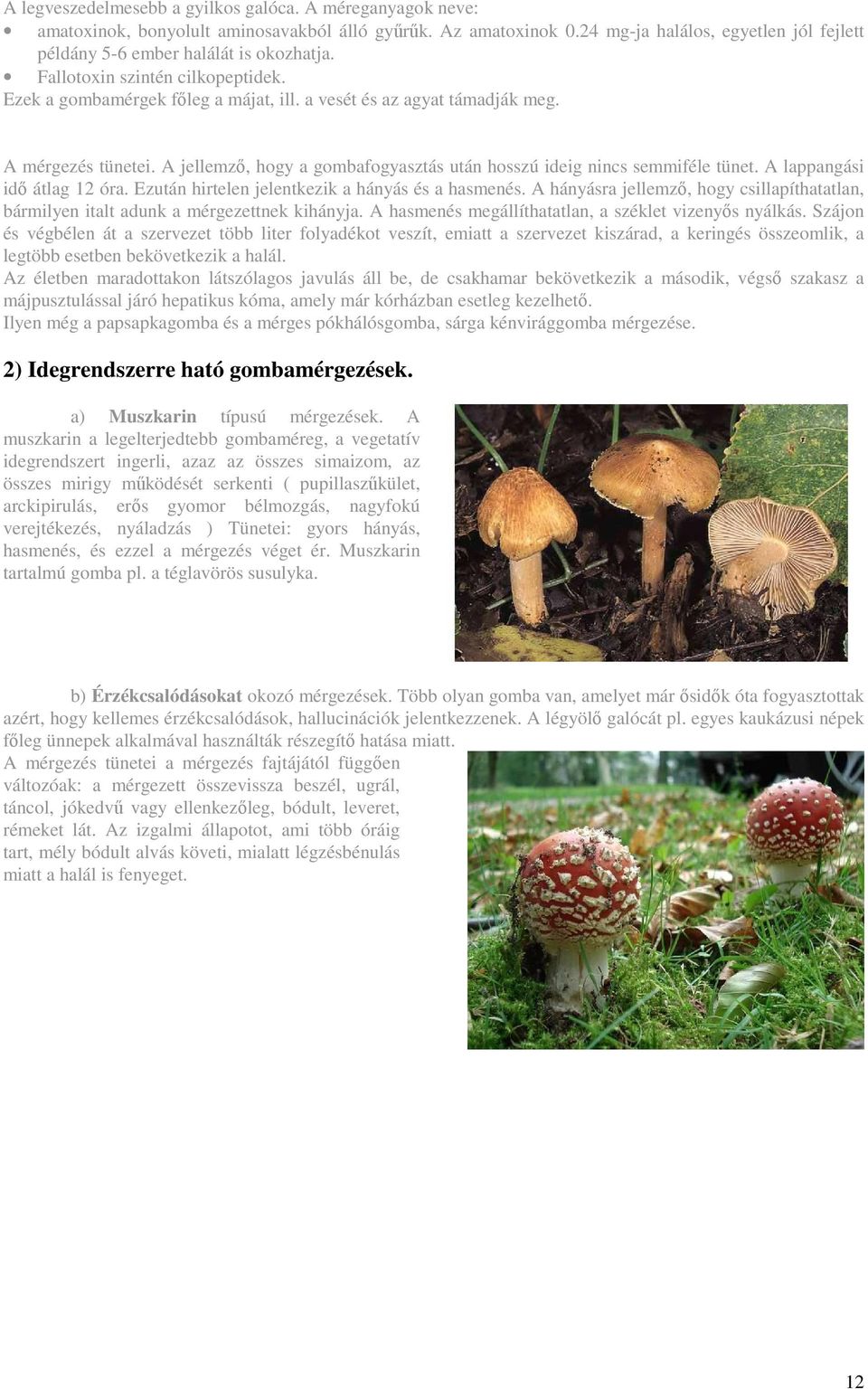 A mérgezés tünetei. A jellemző, hogy a gombafogyasztás után hosszú ideig nincs semmiféle tünet. A lappangási idő átlag 12 óra. Ezután hirtelen jelentkezik a hányás és a hasmenés.