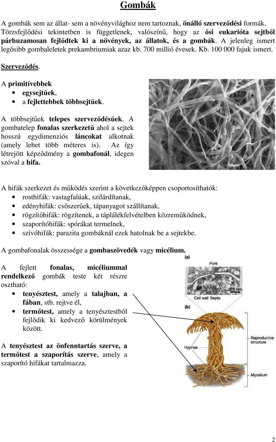 A jelenleg ismert legősibb gombaleletek prekambriumiak azaz kb. 700 millió évesek. Kb. 100 000 fajuk ismert. Szerveződés. A primitívebbek egysejtűek, a fejlettebbek többsejtűek.