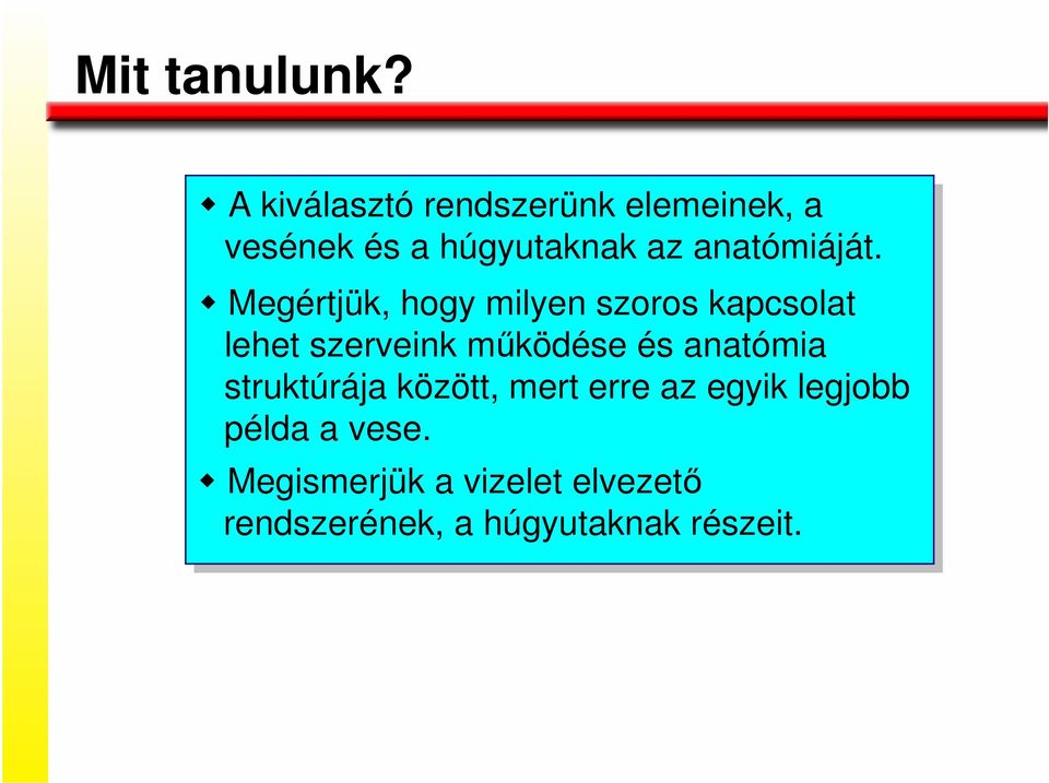 anatómiáját.