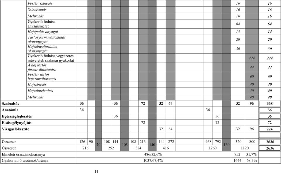 Hajszíntelenítés 40 40 Melírozás 40 40 Szabadsáv 36 36 72 32 64 32 96 368 Anatómia 36 36 36 Egészségfejlesztés 36 36 36 Elsősegélynyújtás 72 72 72 Vizsgaelőkészítő 32 64 32 96 224