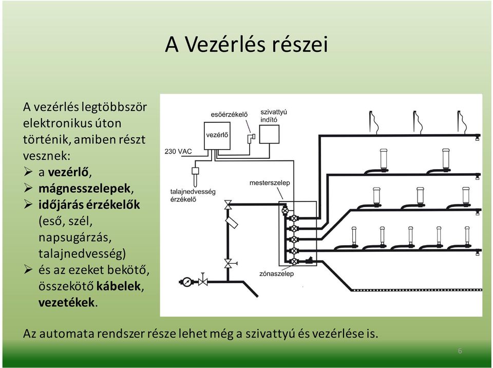 szél, napsugárzás, talajnedvesség) és az ezeket bekötő, összekötő