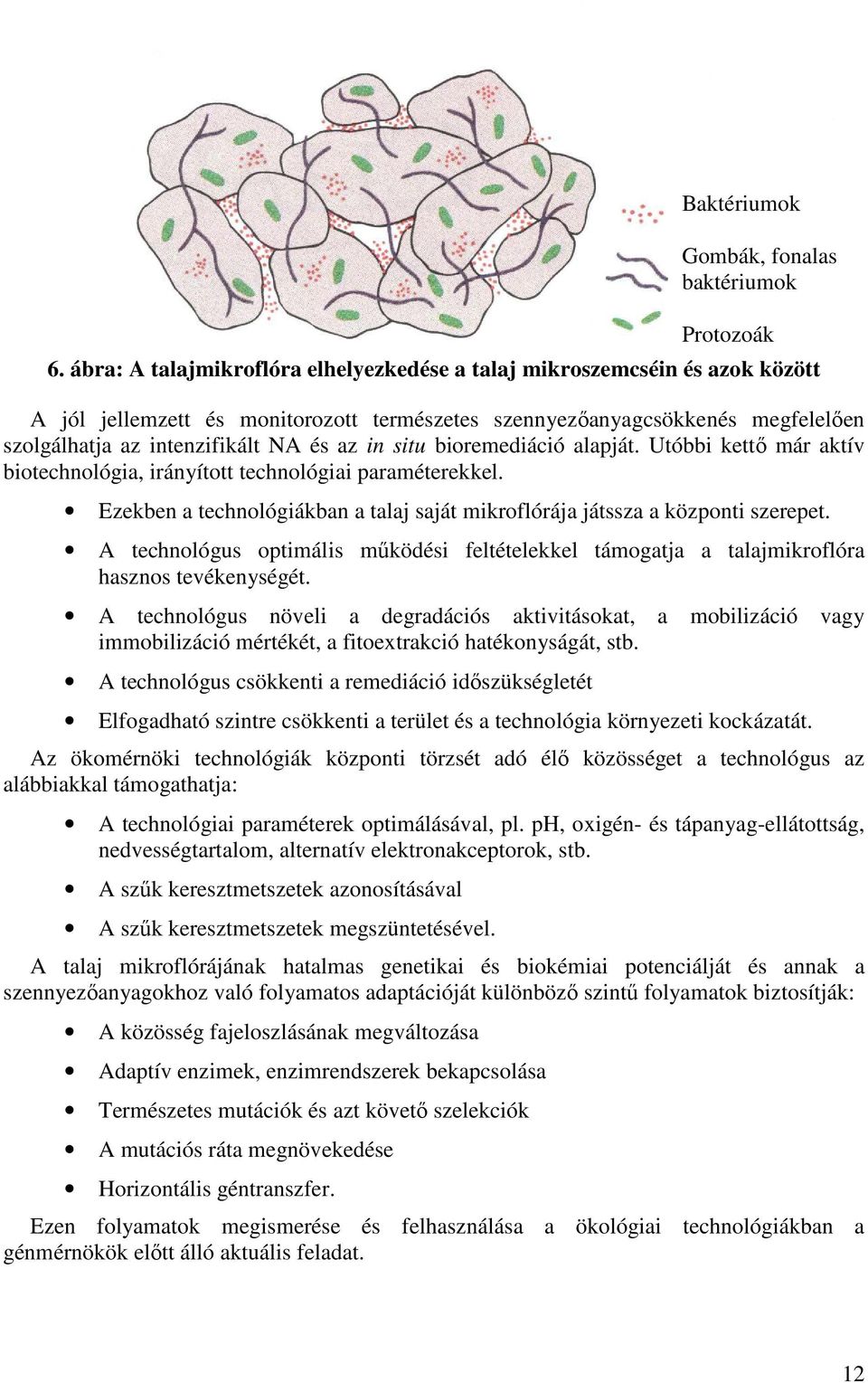 A technológus optimális mőködési feltételekkel támogatja a talajmikroflóra hasznos tevékenységét.