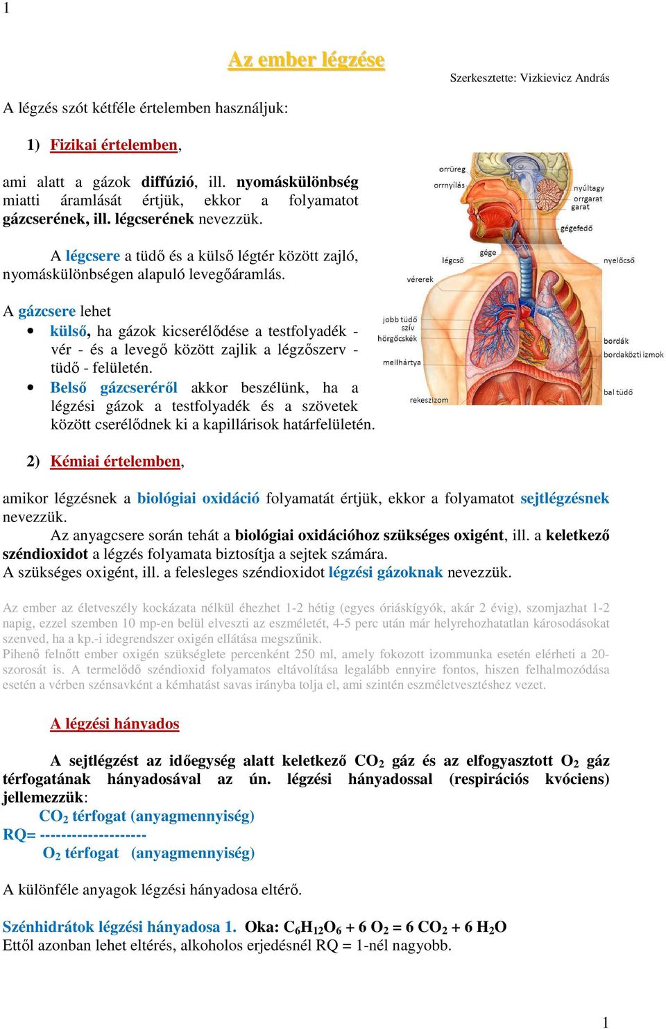 A gázcsere lehet külső, ha gázok kicserélődése a testfolyadék - vér - és a levegő között zajlik a légzőszerv - tüdő - felületén.