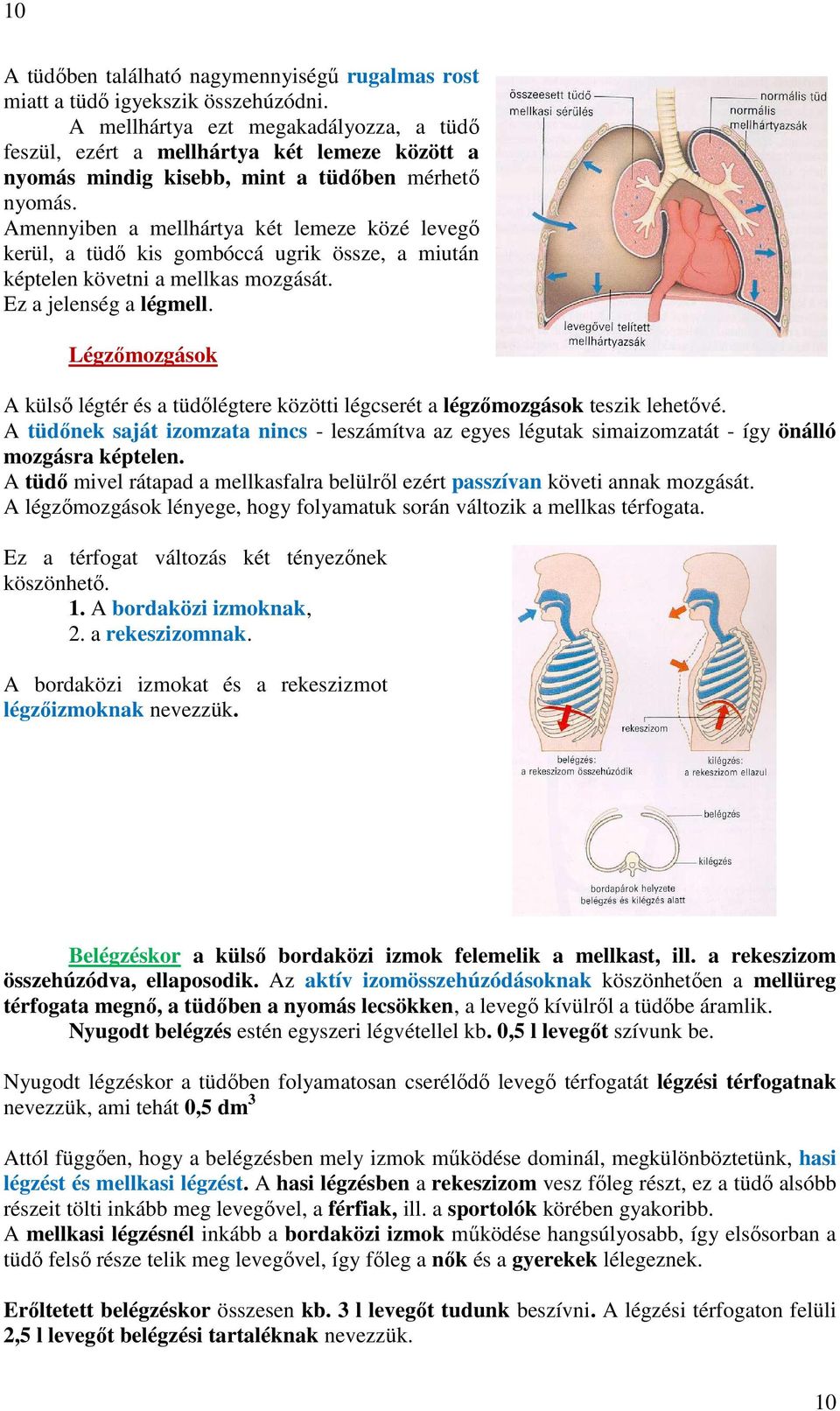 Amennyiben a mellhártya két lemeze közé levegő kerül, a tüdő kis gombóccá ugrik össze, a miután képtelen követni a mellkas mozgását. Ez a jelenség a légmell.