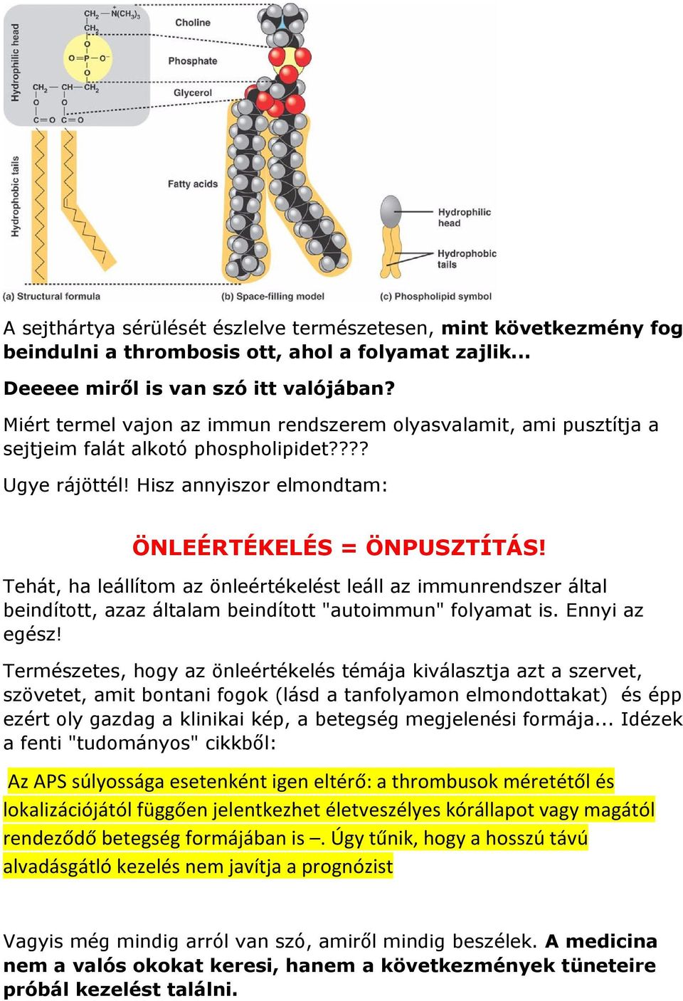 Tehát, ha leállítom az önleértékelést leáll az immunrendszer által beindított, azaz általam beindított "autoimmun" folyamat is. Ennyi az egész!