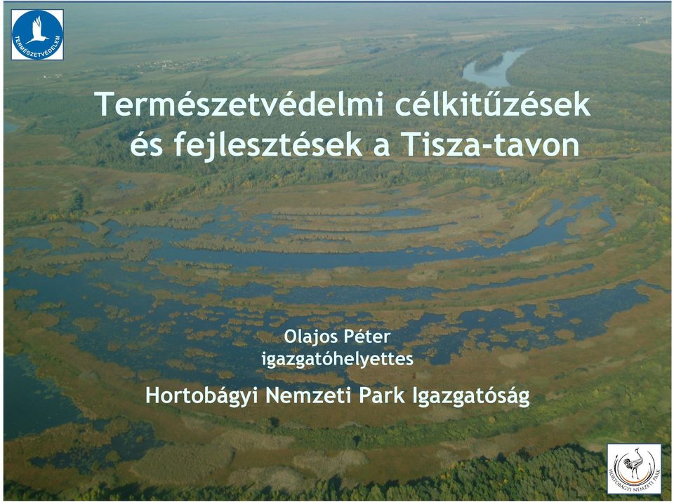 Olajos Péter igazgatóhelyettes