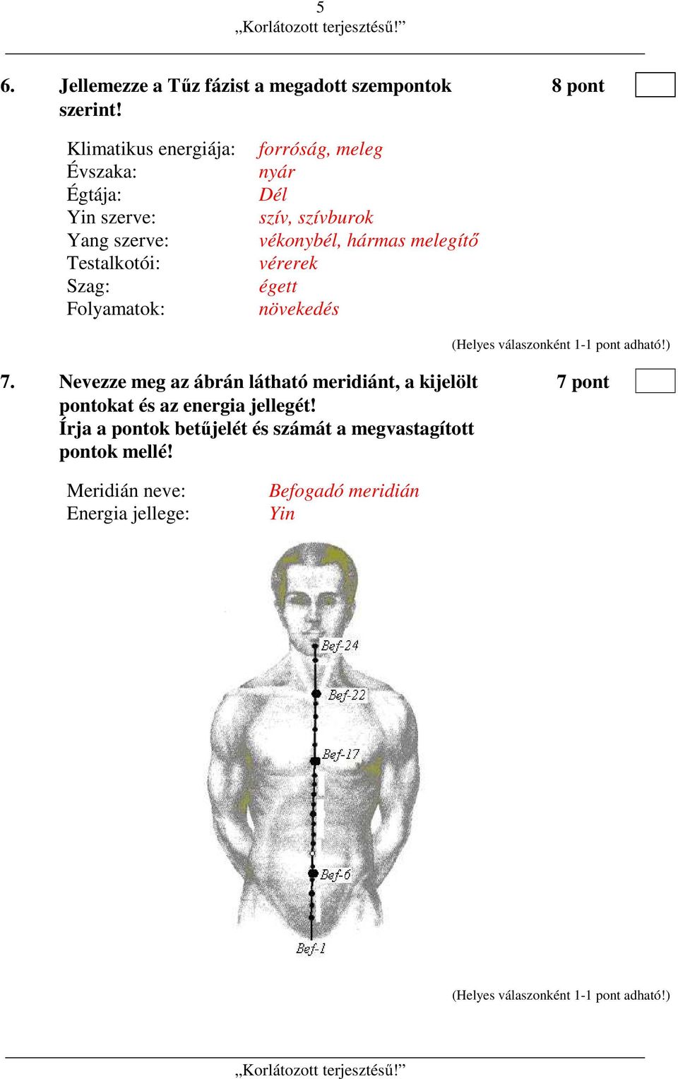 Dél szív, szívburok vékonybél, hármas melegítő vérerek égett növekedés 7.