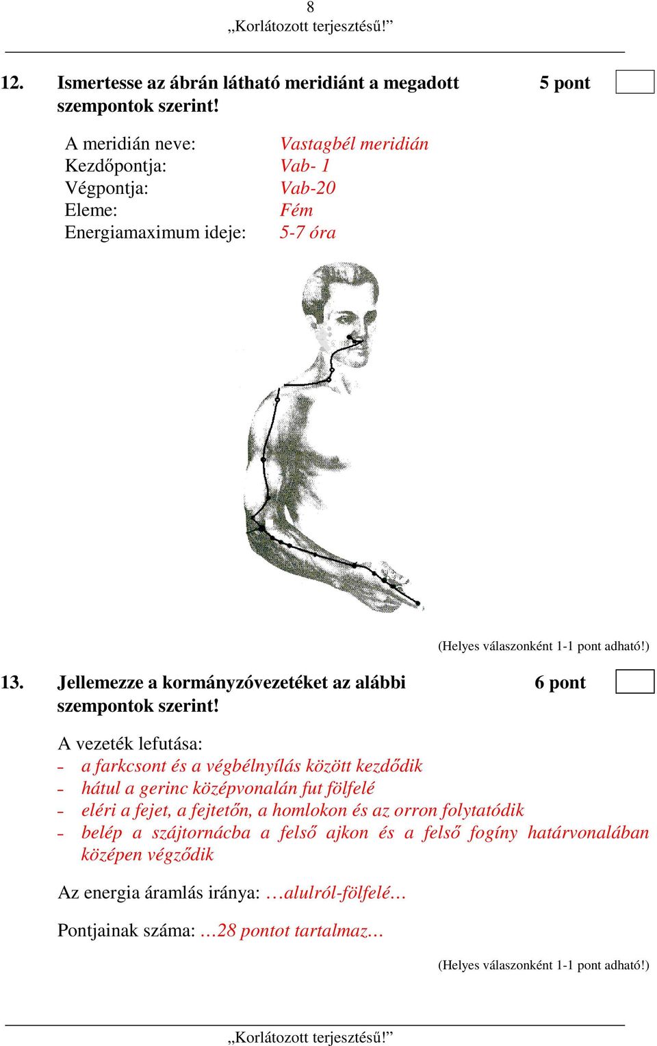 Jellemezze a kormányzóvezetéket az alábbi 6 pont szempontok szerint!