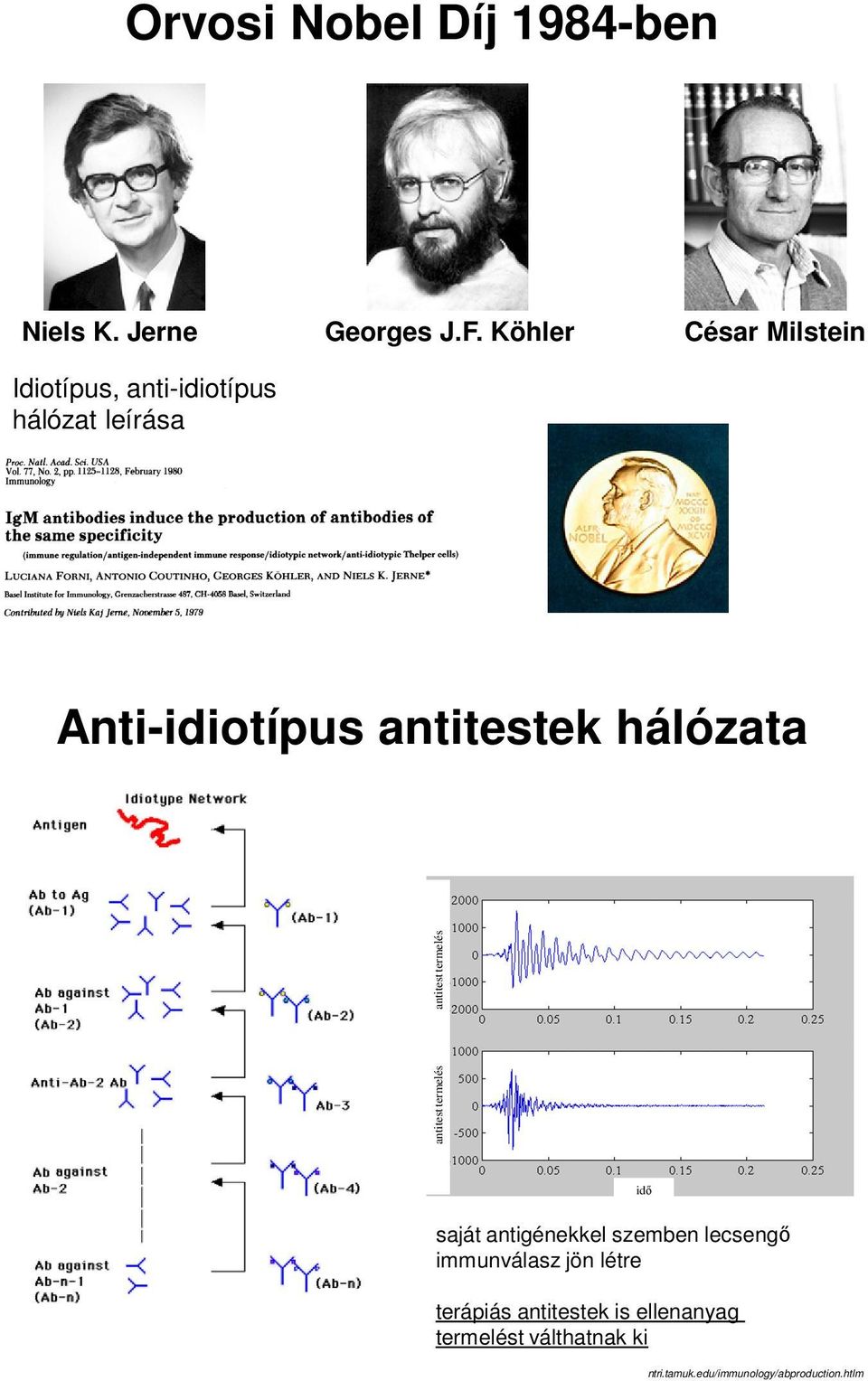 Köhler César Milstein Anti-idiotípus antitestek hálózata antitest termelés antitest