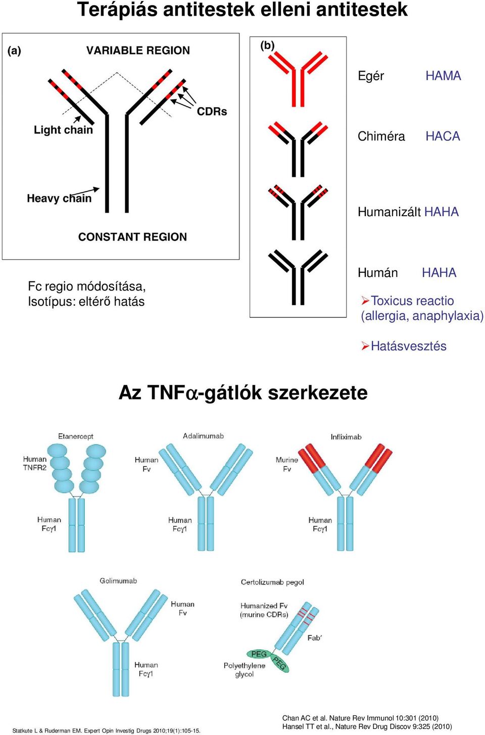 Hatásvesztés Az TNFα-gátlók szerkezete Statkute L & Ruderman EM.