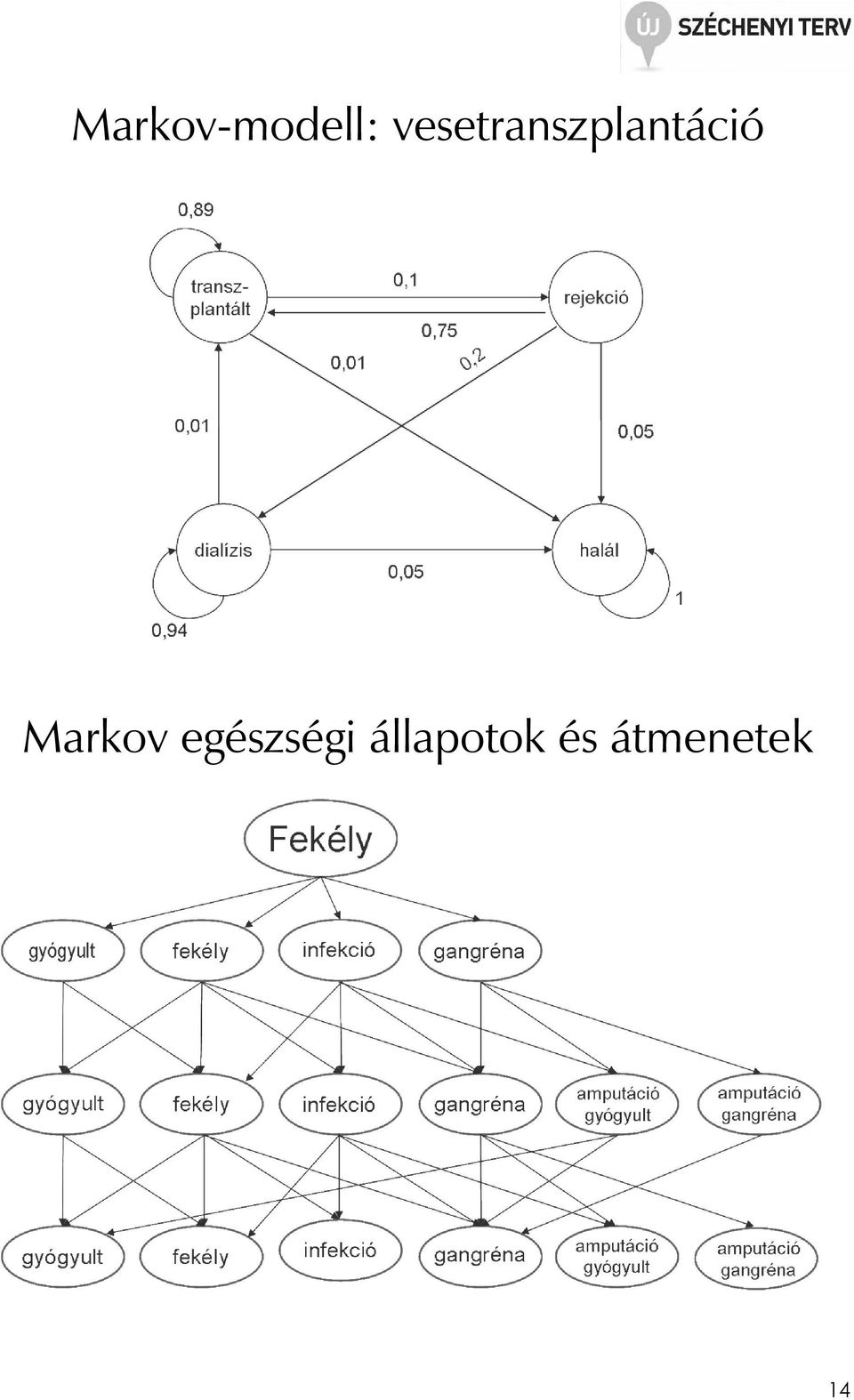Markov egészségi