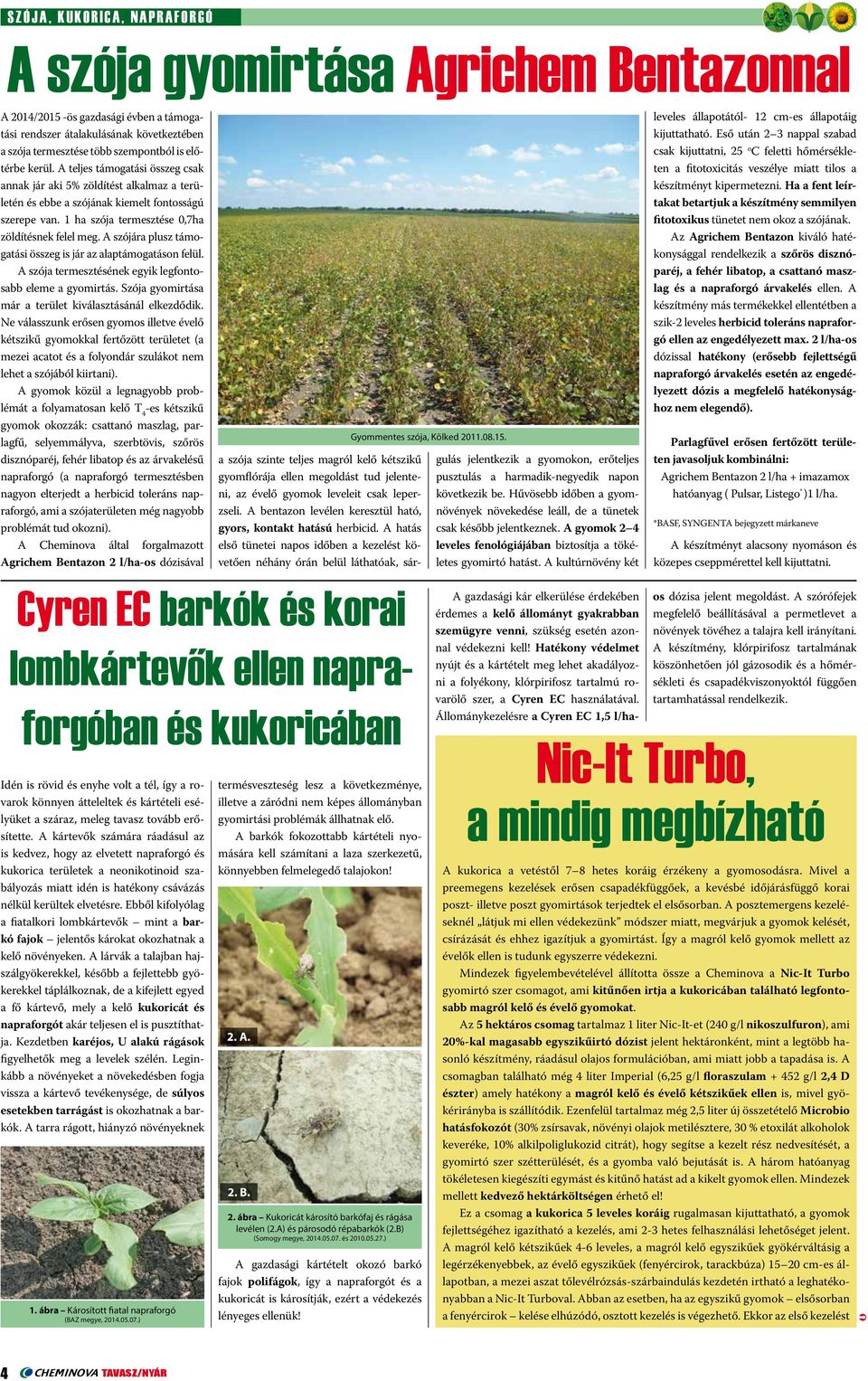 A szójára plusz támogatási összeg is jár az alaptámogatáson felül. A szója termesztésének egyik legfontosabb eleme a gyomirtás. Szója gyomirtása már a terület kiválasztásánál elkezdődik.