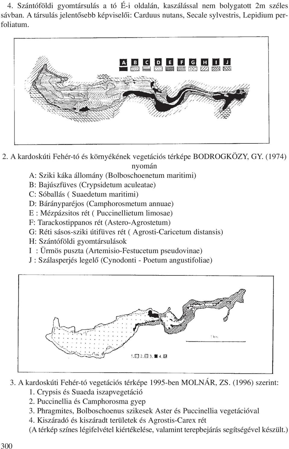 Puccinellietum limosae) F: Tarackostippanos rét (Astero-Agrostetum) G: Réti sásos-sziki útifüves rét ( Agrosti-Caricetum distansis) H: Szántóföldi gyomtársulások I : Ürmös puszta