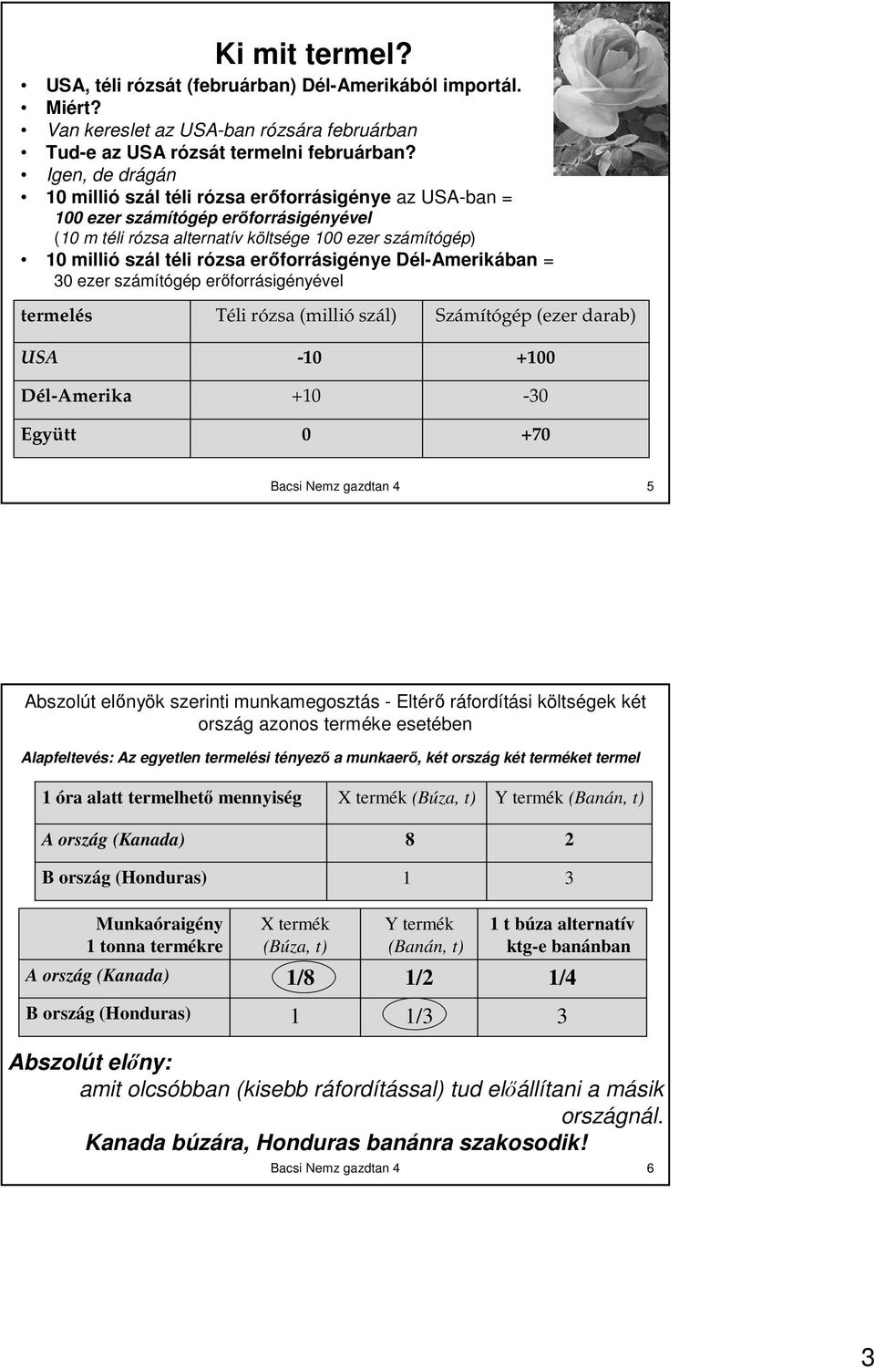 Dél-Amerikában = 3 ezer számítógép erıforrásigényével termelés Dél-Amerika Együtt Téli rózsa (millió szál) -1 +1 Számítógép (ezer darab) +1-3 +7 Bacsi Nemz gazdtan 4 5 Abszolút elınyök szerinti