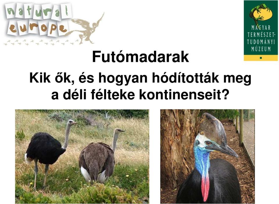 hódították meg a