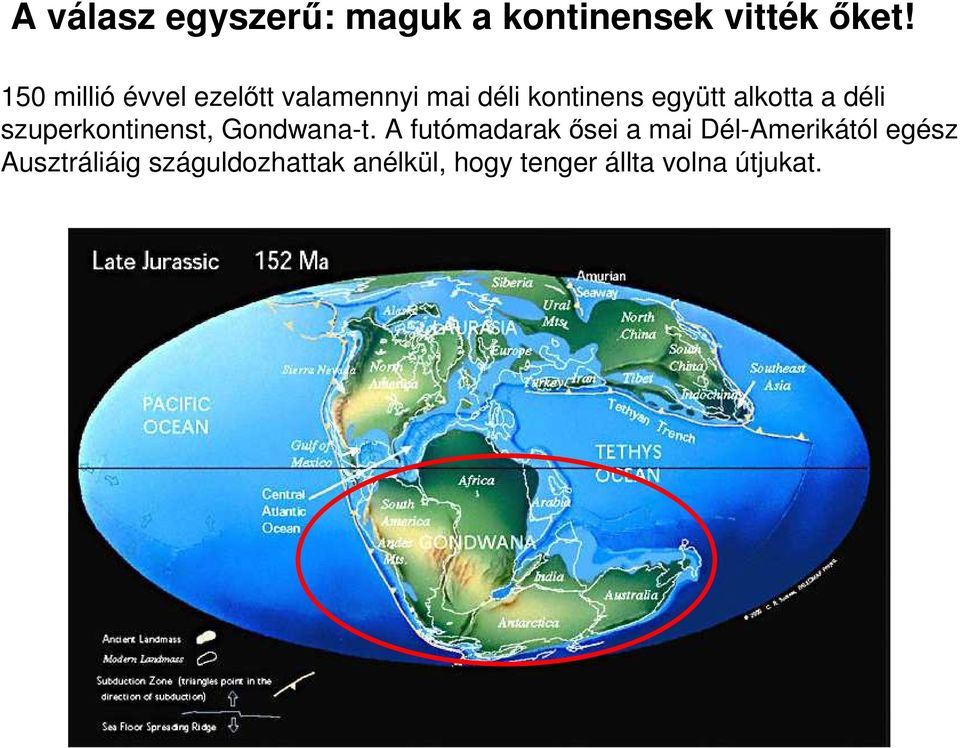 alkotta a déli szuperkontinenst, Gondwana-t.