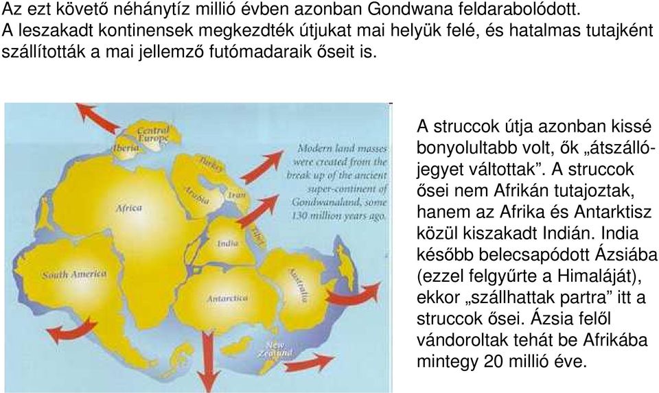 A struccok útja azonban kissé bonyolultabb volt, ık átszállójegyet váltottak.