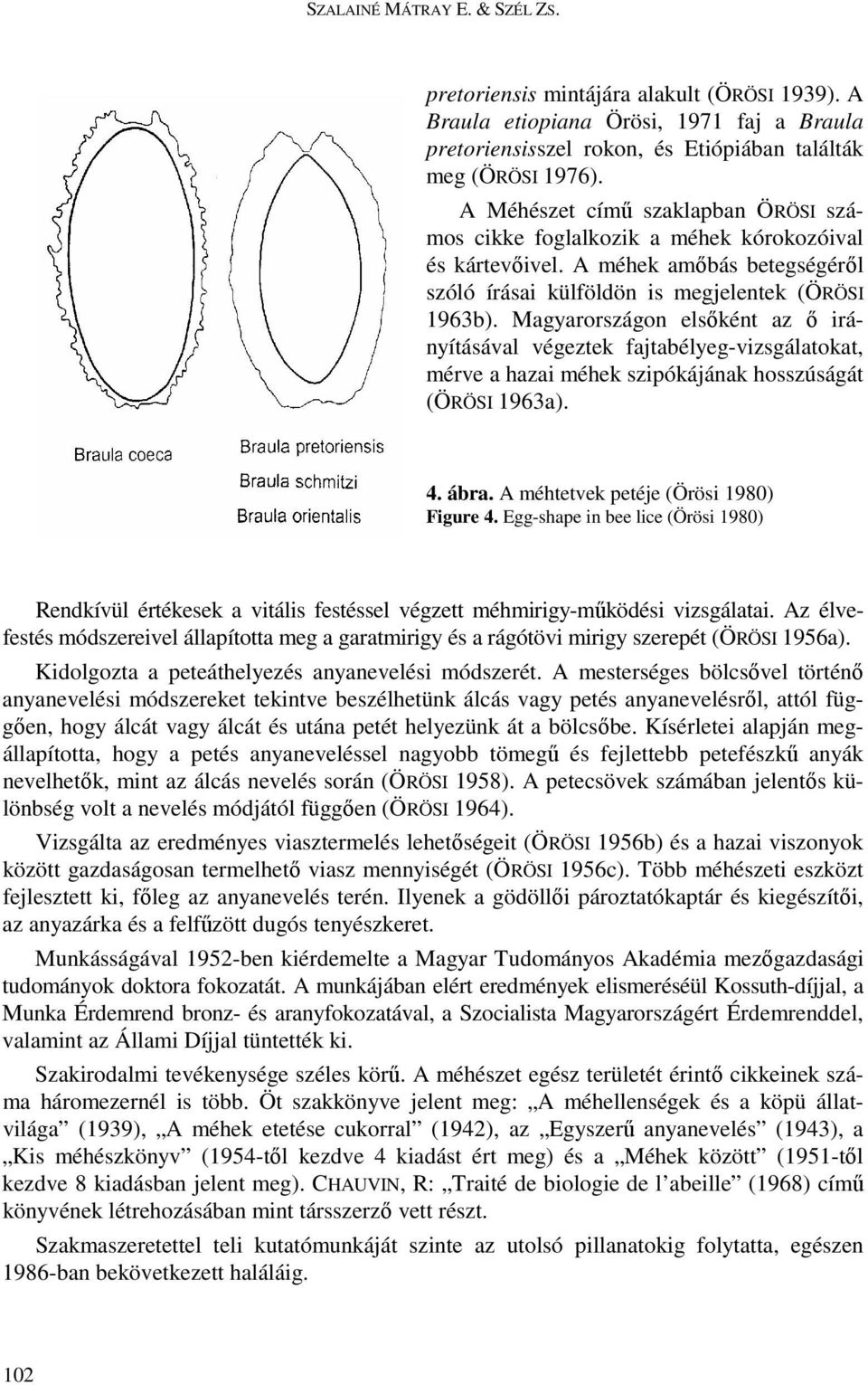 Magyarországon elsıként az ı irányításával végeztek fajtabélyeg-vizsgálatokat, mérve a hazai méhek szipókájának hosszúságát (ÖRÖSI 1963a). 4. ábra. A méhtetvek petéje (Örösi 1980) Figure 4.