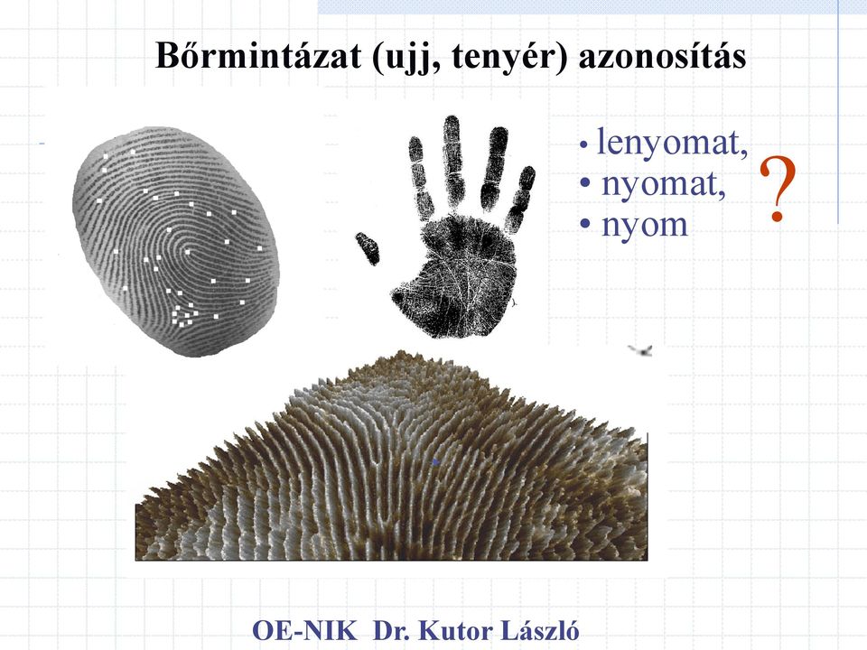 azonosítás