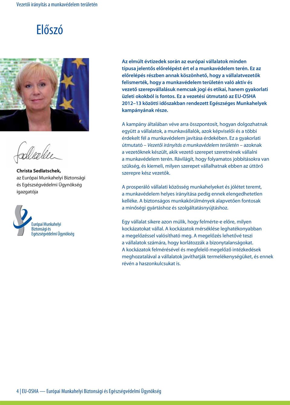 okokból is fontos. Ez a vezetési útmutató az EU-OSHA 2012 13 közötti időszakban rendezett Egészséges Munkahelyek kampányának része.