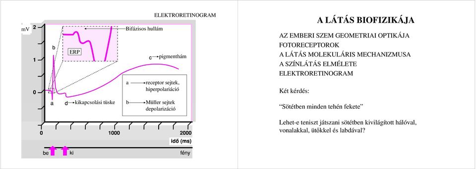 sejtek depolarizáció Sötétben minden tehén fekete Lehet-e teniszt játszani sötétben