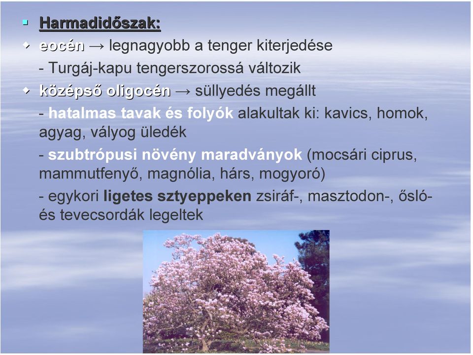 agyag, vályog üledék - szubtrópusi növény maradványok (mocsári ciprus, mammutfenyő,