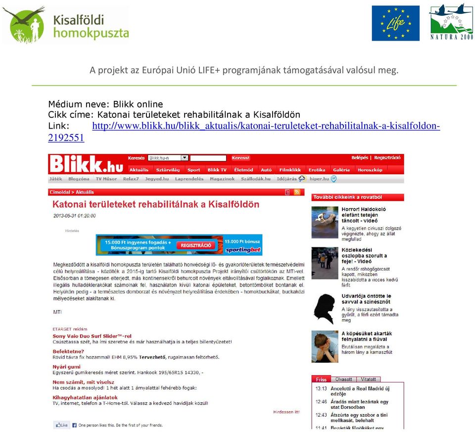 Link: http://www.blikk.
