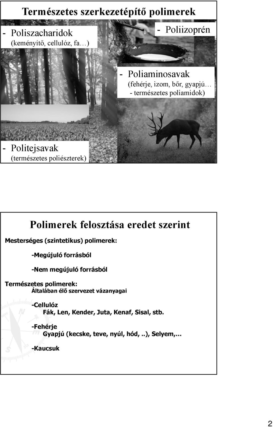 Mesterséges (szintetikus) polimerek: -Megújuló forrásból -Nem megújuló forrásból Természetes polimerek: Általában élő