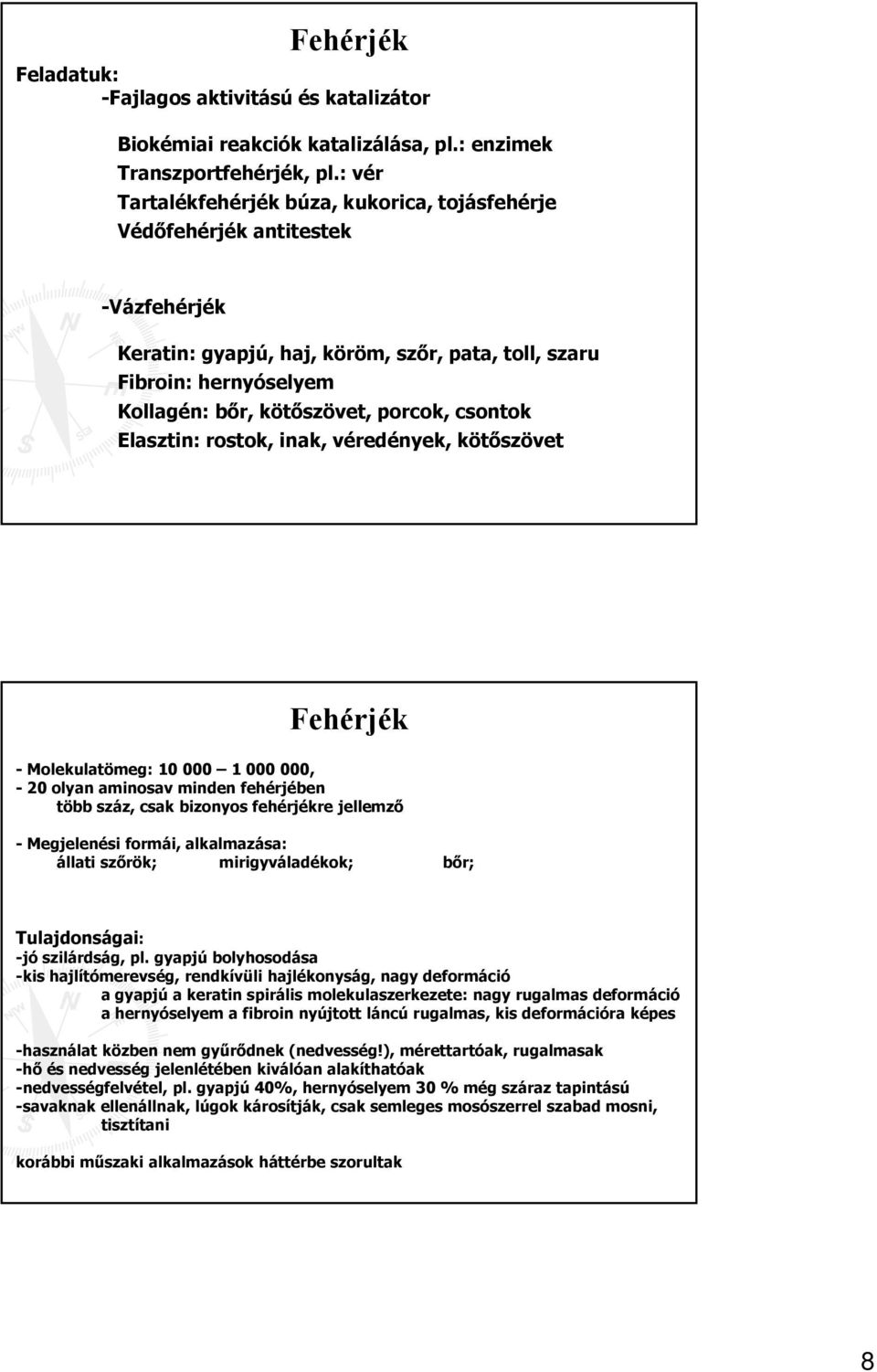 csontok Elasztin: rostok, inak, véredények, kötőszövet Fehérjék - Molekulatömeg: 10 000 1 000 000, - 20 olyan aminosav minden fehérjében több száz, csak bizonyos fehérjékre jellemző - Megjelenési