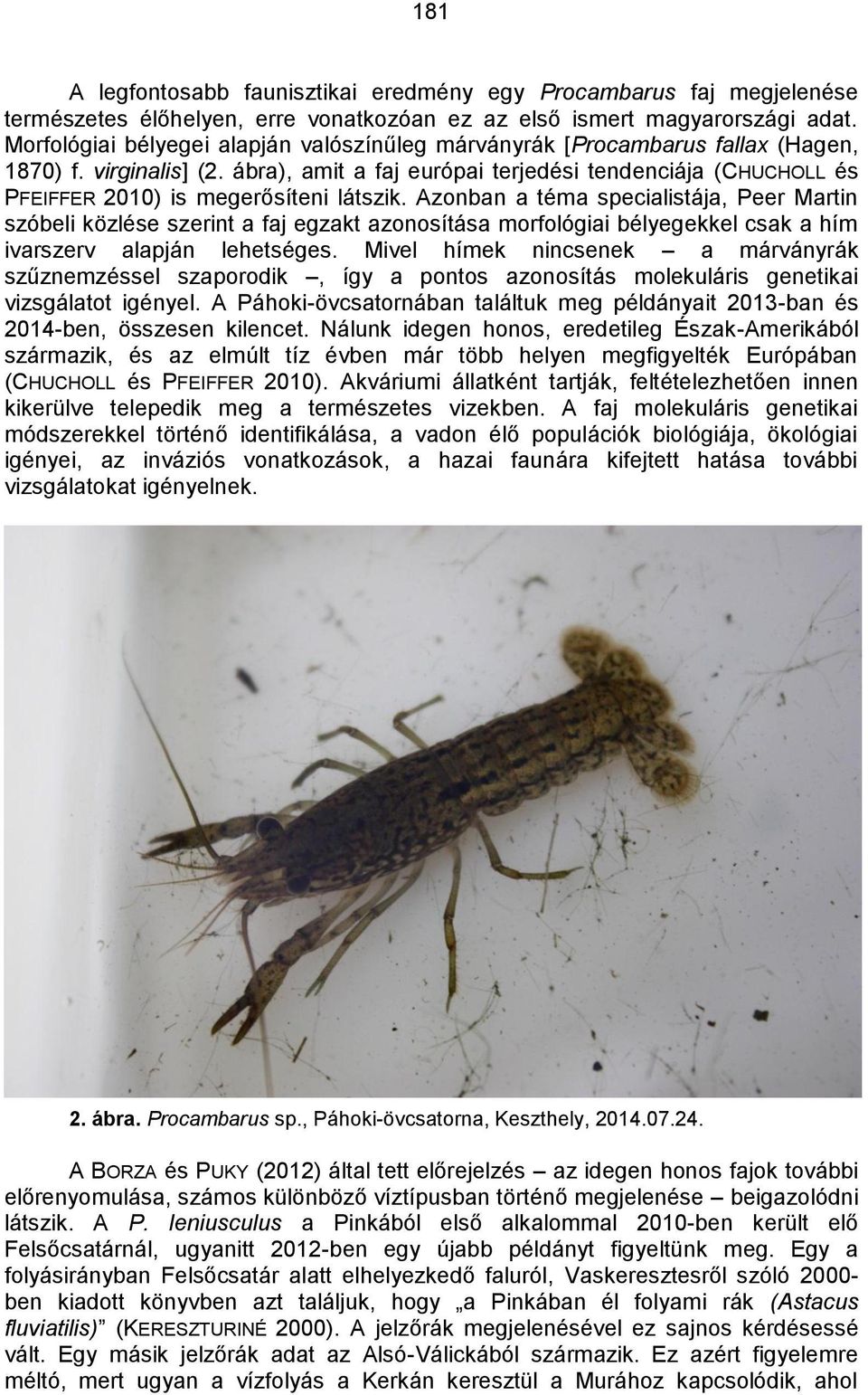 ábra), amit a faj európai terjedési tendenciája (CHUCHOLL és PFEIFFER 2010) is megerősíteni látszik.