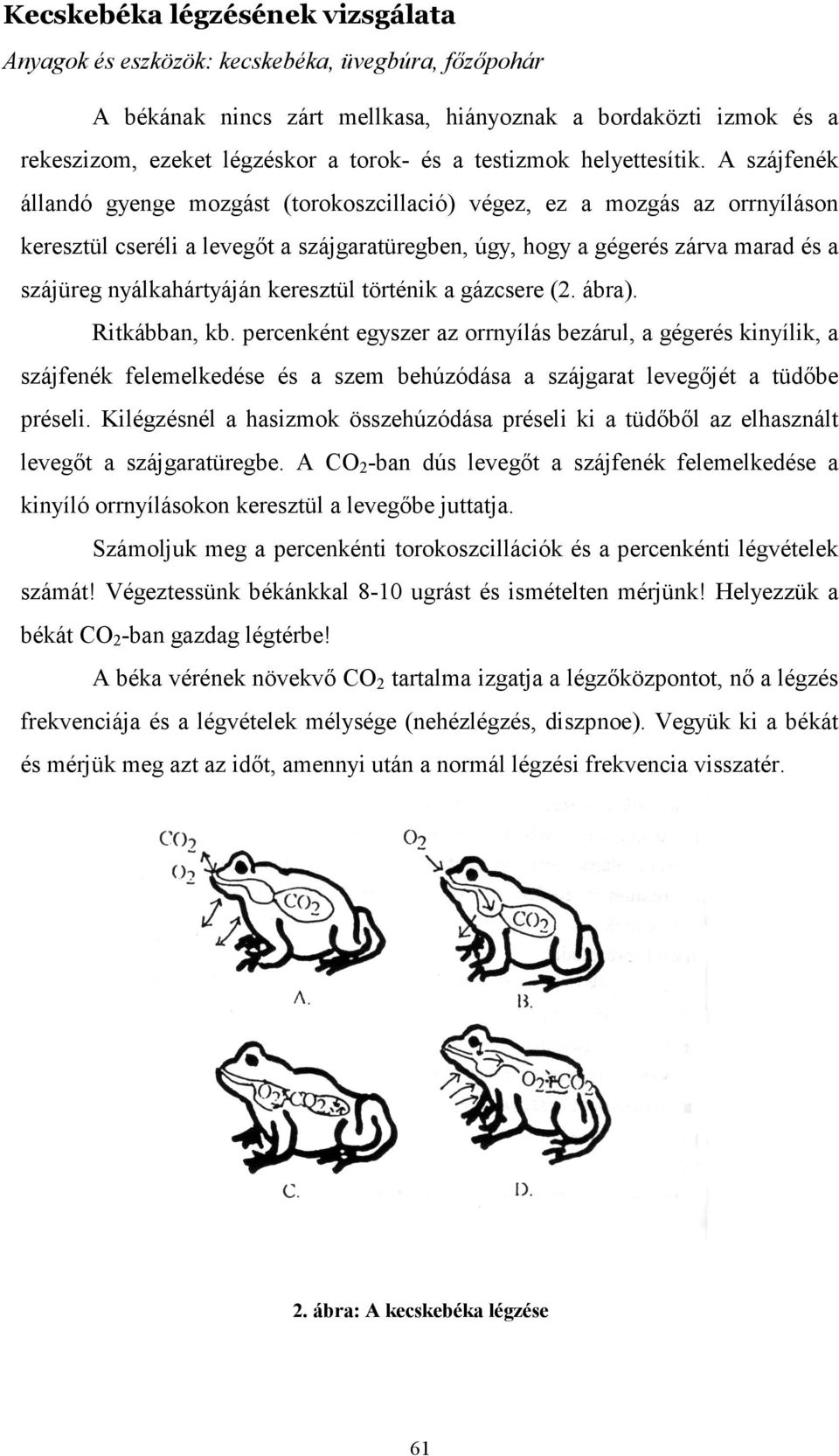 A szájfenék állandó gyenge mozgást (torokoszcillació) végez, ez a mozgás az orrnyíláson keresztül cseréli a levegıt a szájgaratüregben, úgy, hogy a gégerés zárva marad és a szájüreg nyálkahártyáján