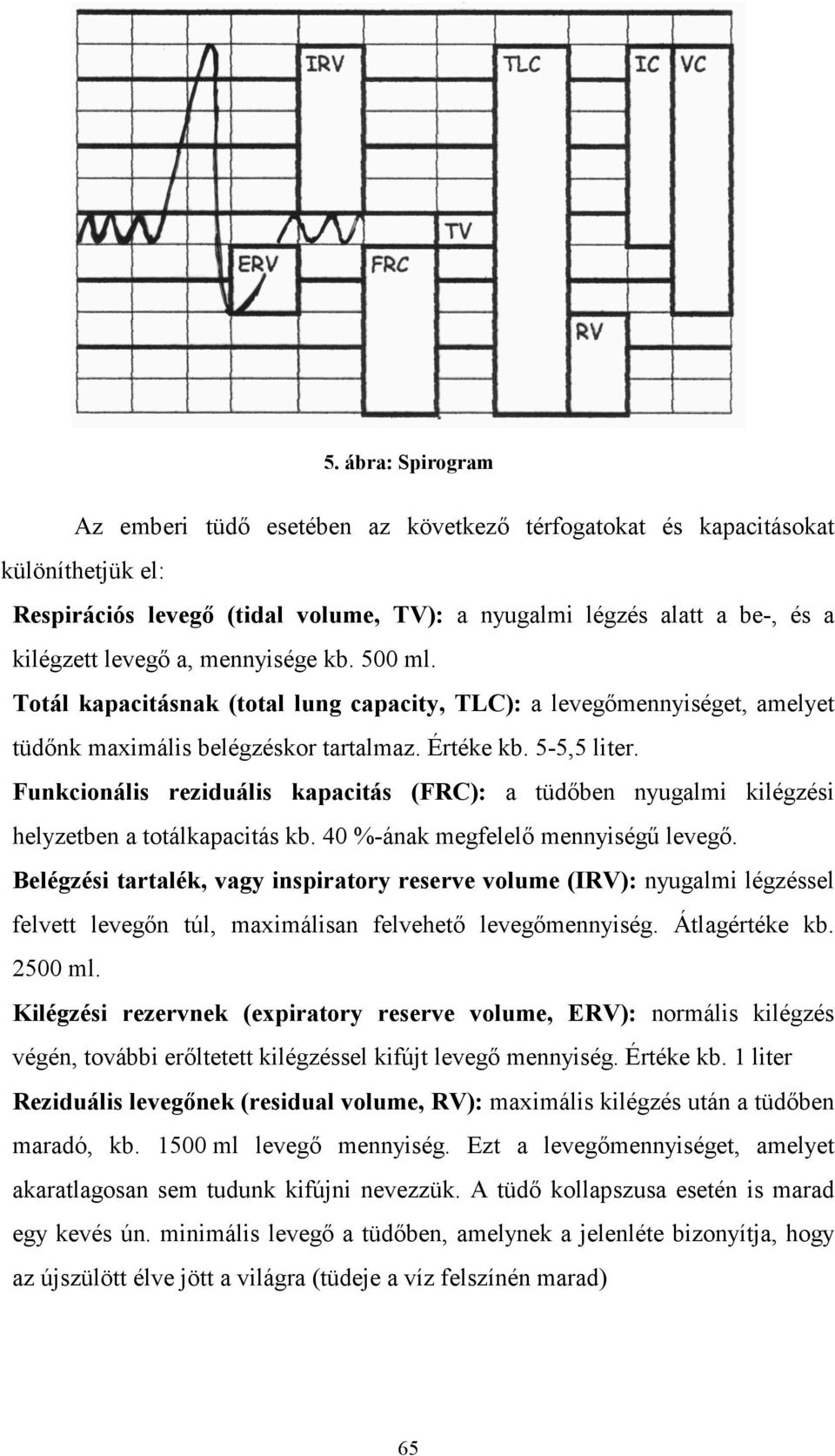 Funkcionális reziduális kapacitás (FRC): a tüdıben nyugalmi kilégzési helyzetben a totálkapacitás kb. 40 %-ának megfelelı mennyiségő levegı.
