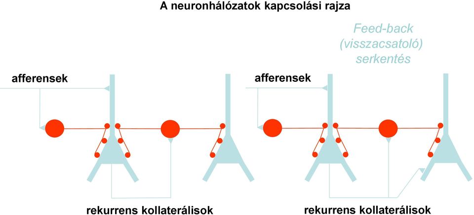 (visszacsatoló) serkentés rekurrens