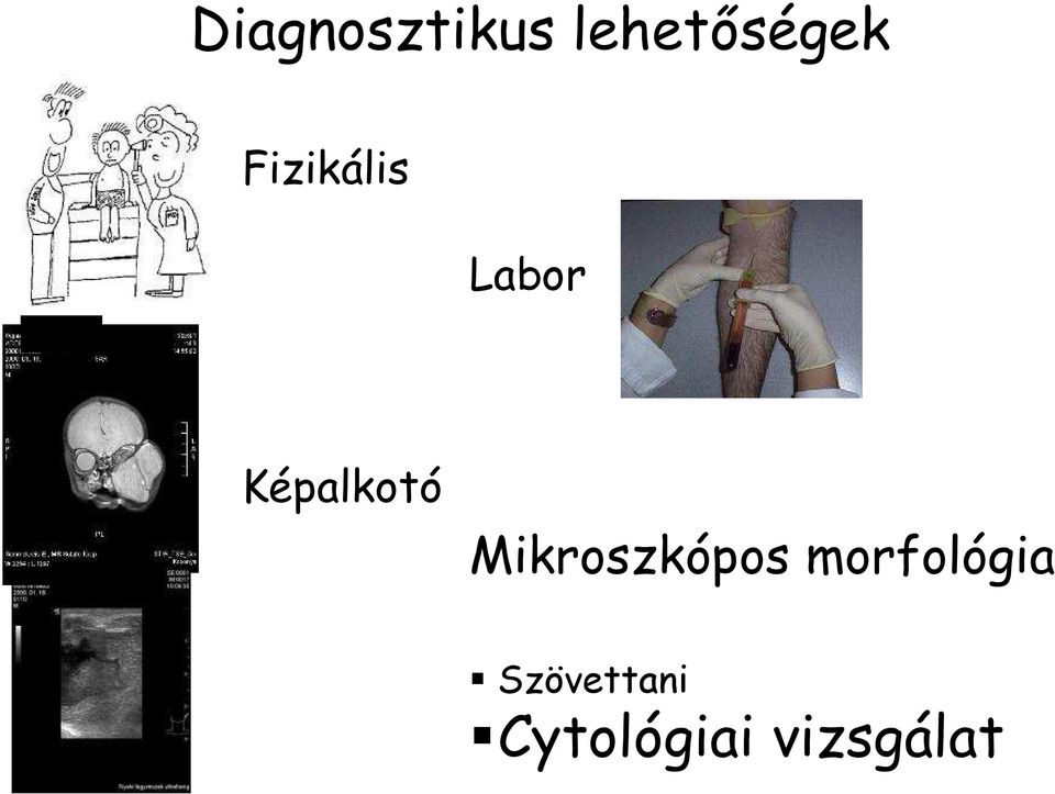 Mikroszkópos morfológia