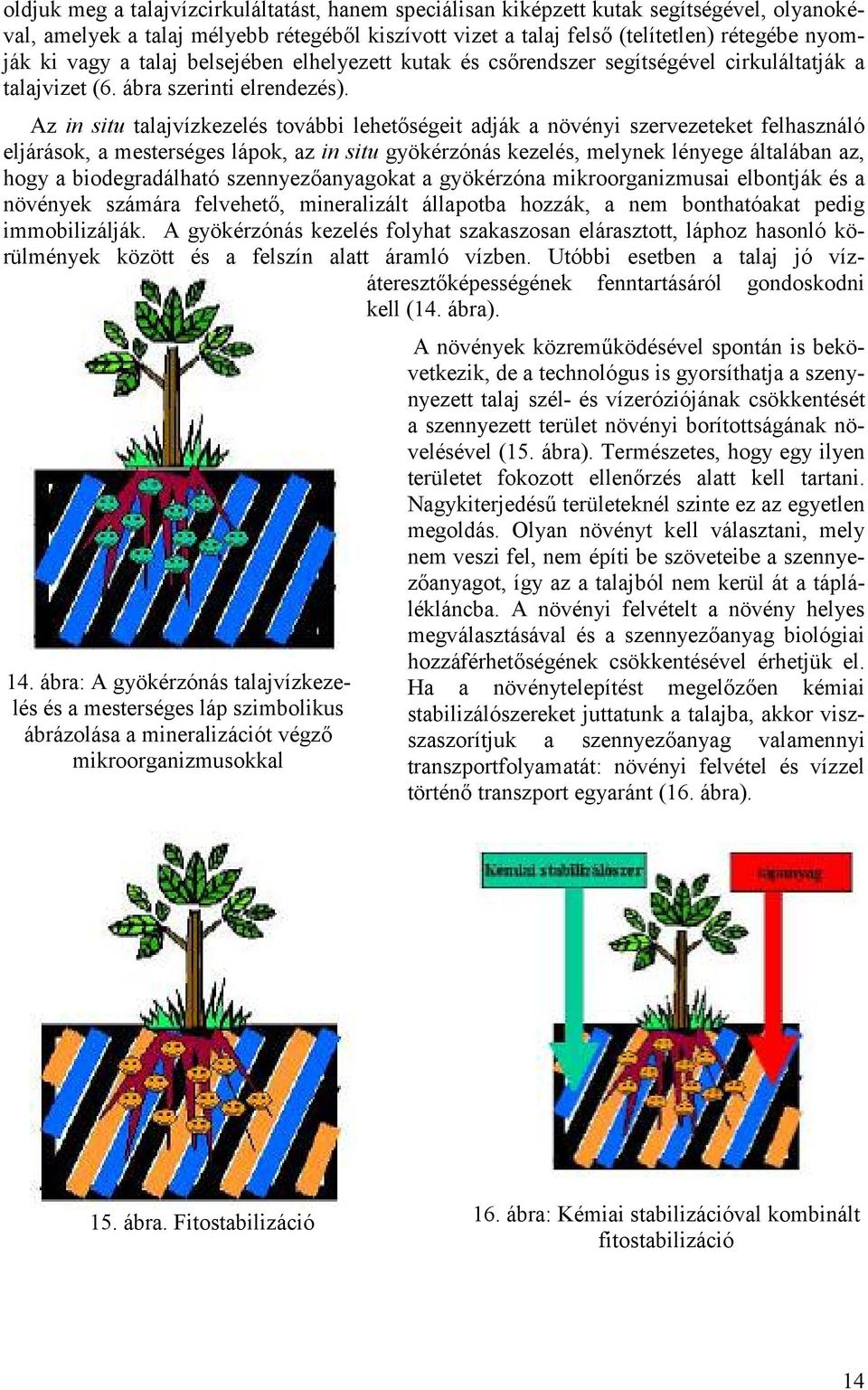 Az in situ talajvízkezelés további lehet ségeit adják a növényi szervezeteket felhasználó eljárások, a mesterséges lápok, az in situ gyökérzónás kezelés, melynek lényege általában az, hogy a