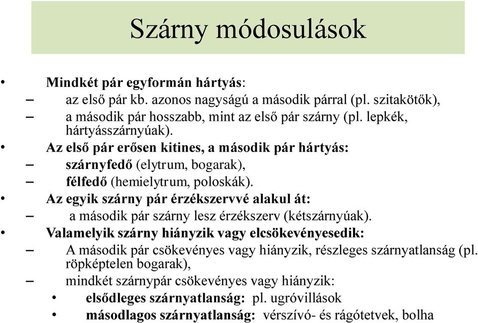 Az egyik szárny pár érzékszervvé alakul át: a második pár szárny lesz érzékszerv (kétszárnyúak).
