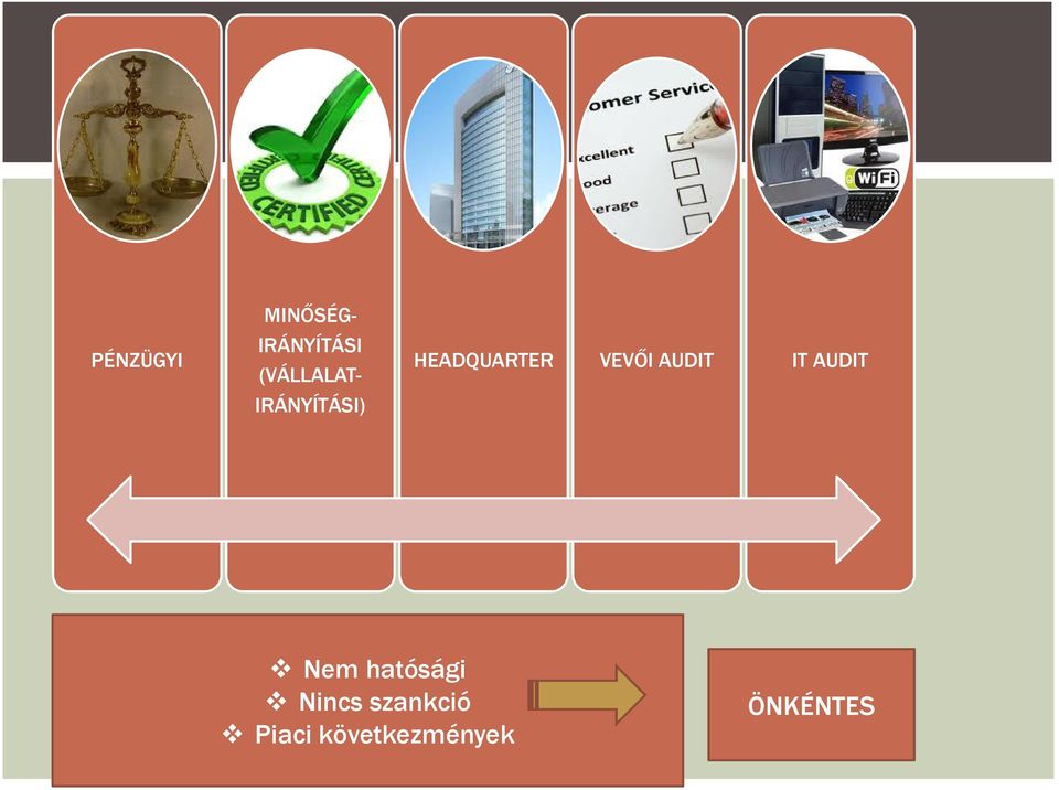 VEVİI AUDIT IT AUDIT Nem hatósági