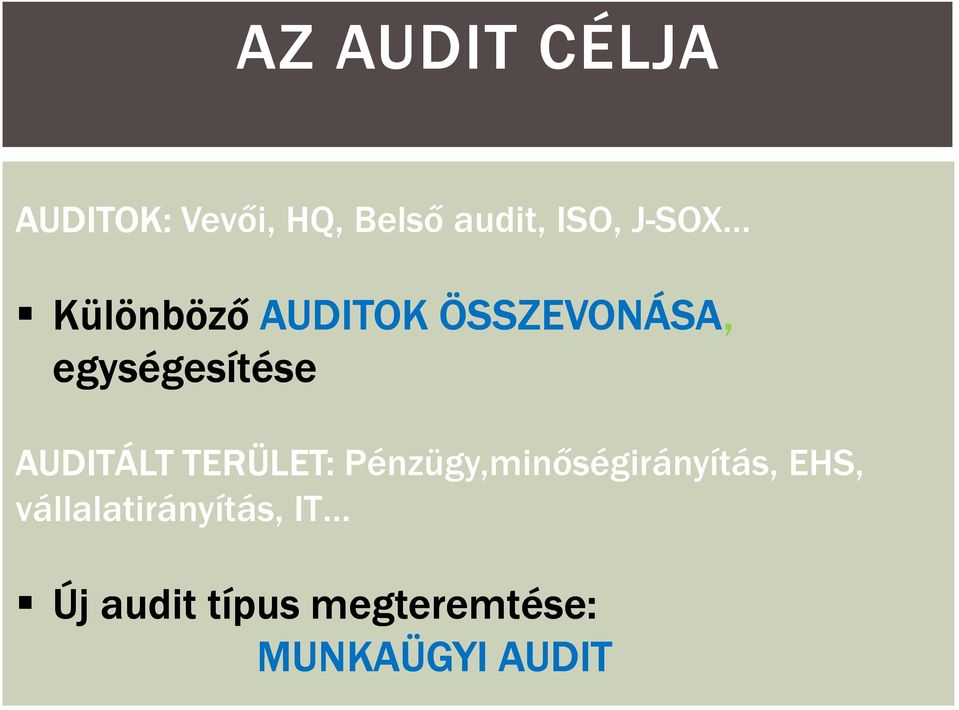 AUDITÁLT TERÜLET: Pénzügy,minıségirányítás, EHS,