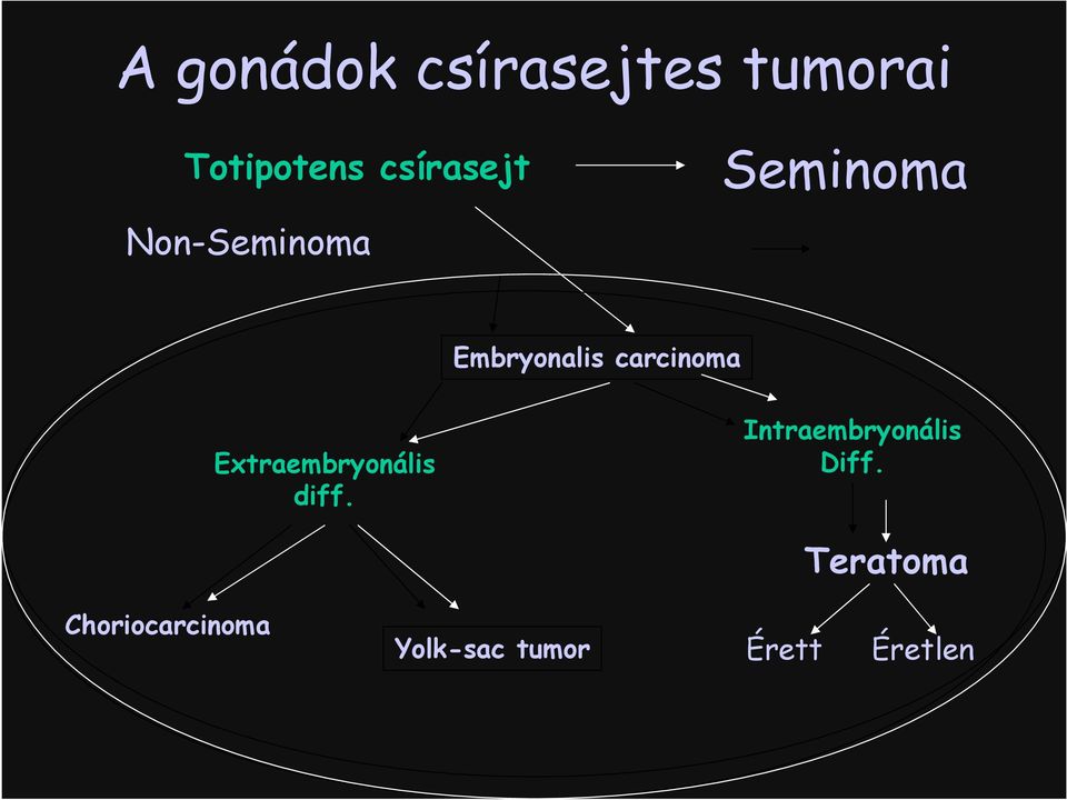 carcinoma Extraembryonális diff.