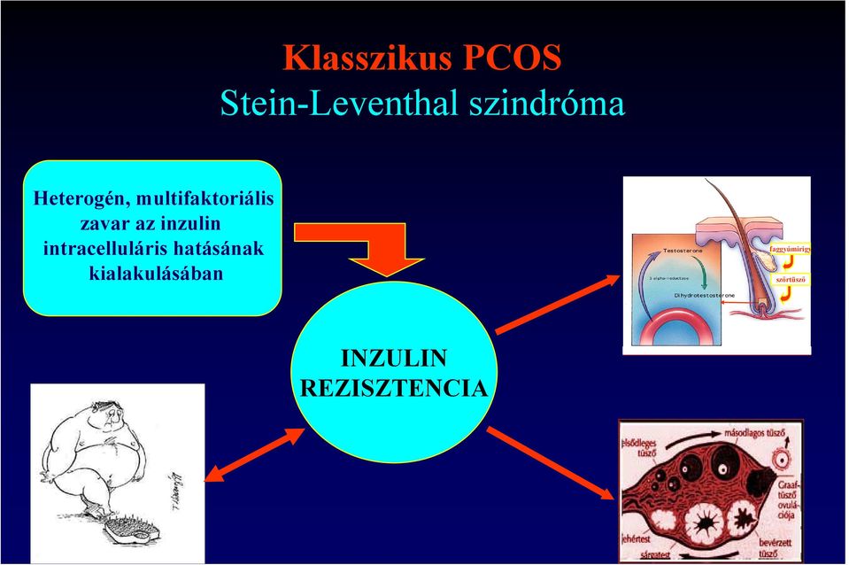 inzulin intracelluláris hatásának