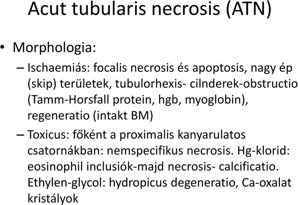 (intakt BM) Toxicus: főként a proximalis kanyarulatos csatornákban: nemspecifikus necrosis.