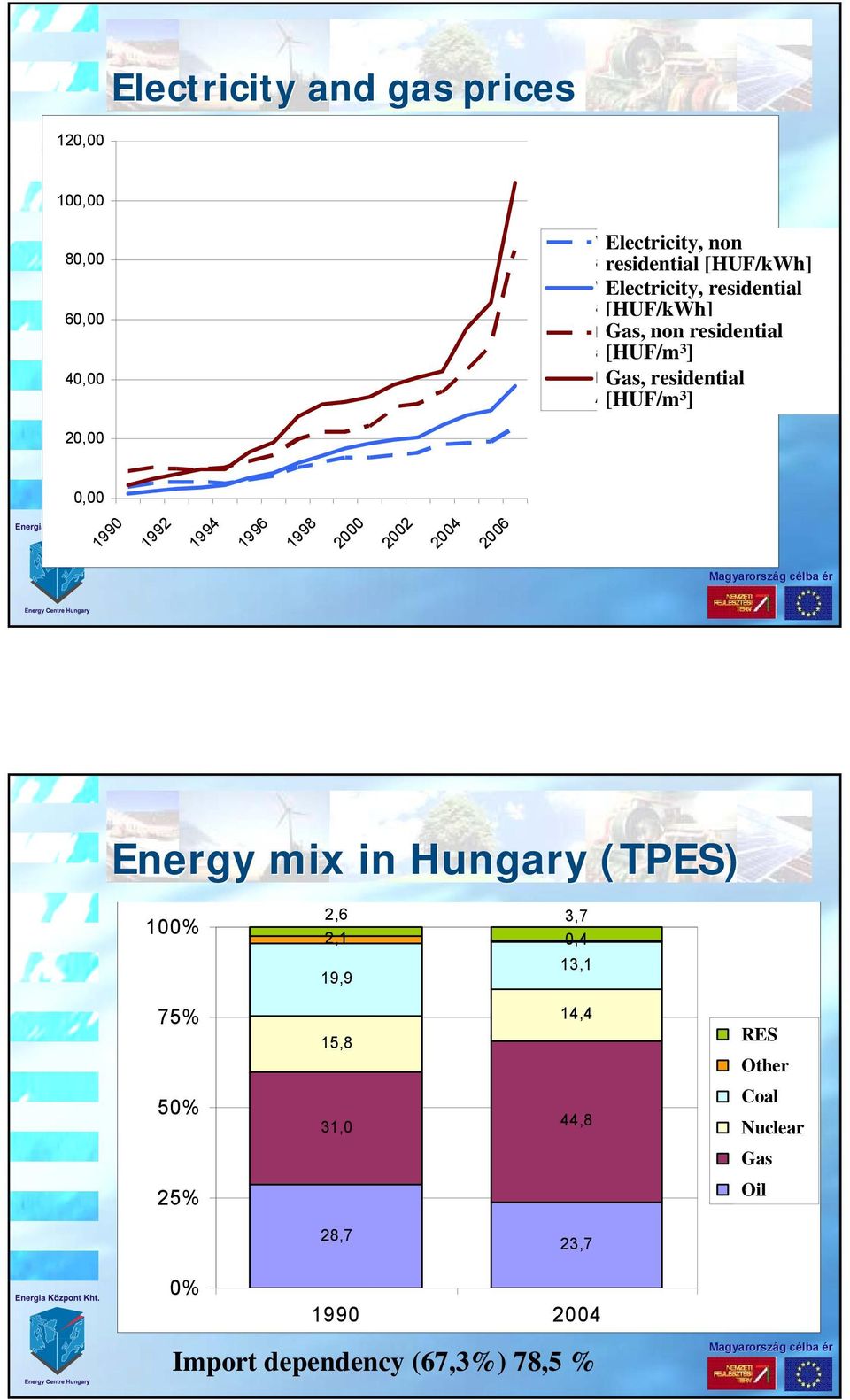 átlagár Ft/m3 Fölgáz háztartási átlagár Áfa-val Ft/m3 2,, 199 1992 1994 1996 1998 2 22 24 26 Energy mix in Hungary (TPES) 1% 2,6 3,7 2,1,4 19,9