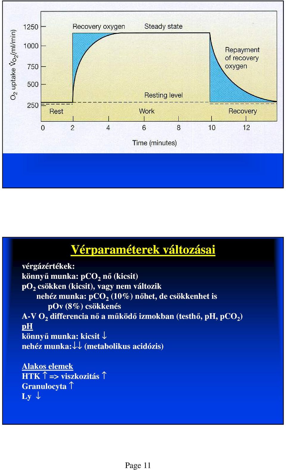 csökkenés A-V O 2 differencia nő a működő izmokban (testhő, ph, pco 2 ) ph könnyű munka:
