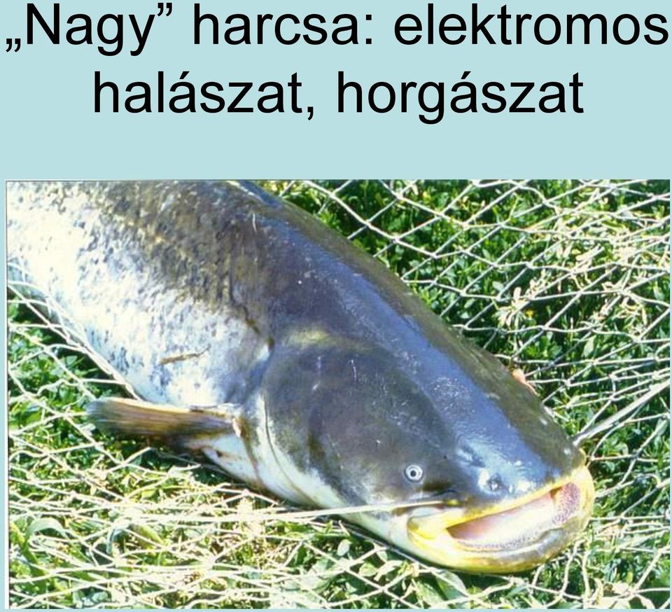 elektromos