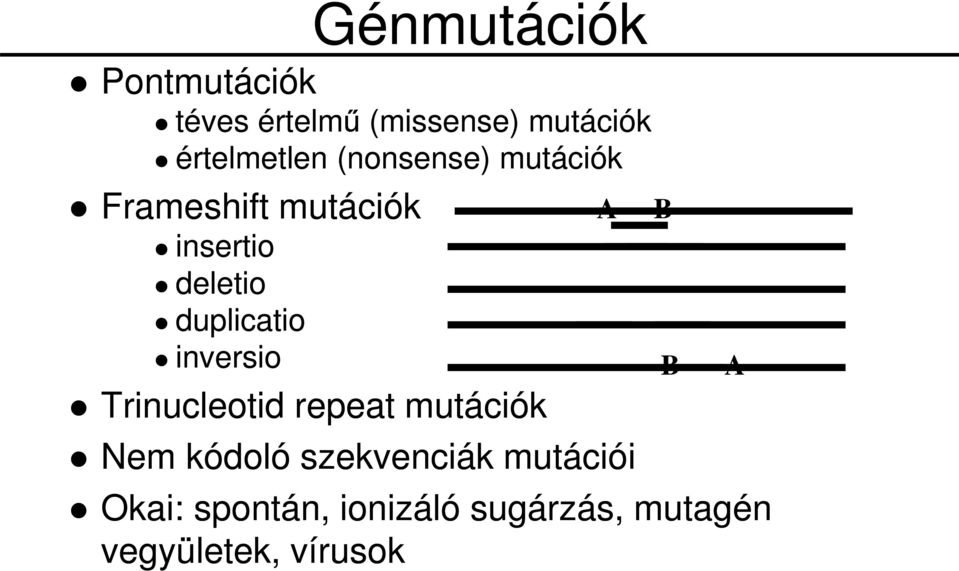 duplicatio inversio A B Trinucleotid repeat mutációk Nem kódoló