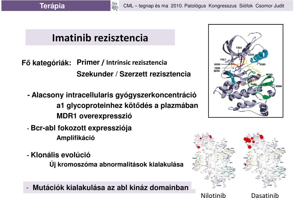 plazmában MDR1 overexpresszió - Bcr-abl fokozott expressziója Amplifikáció - Klonális evolúció Új