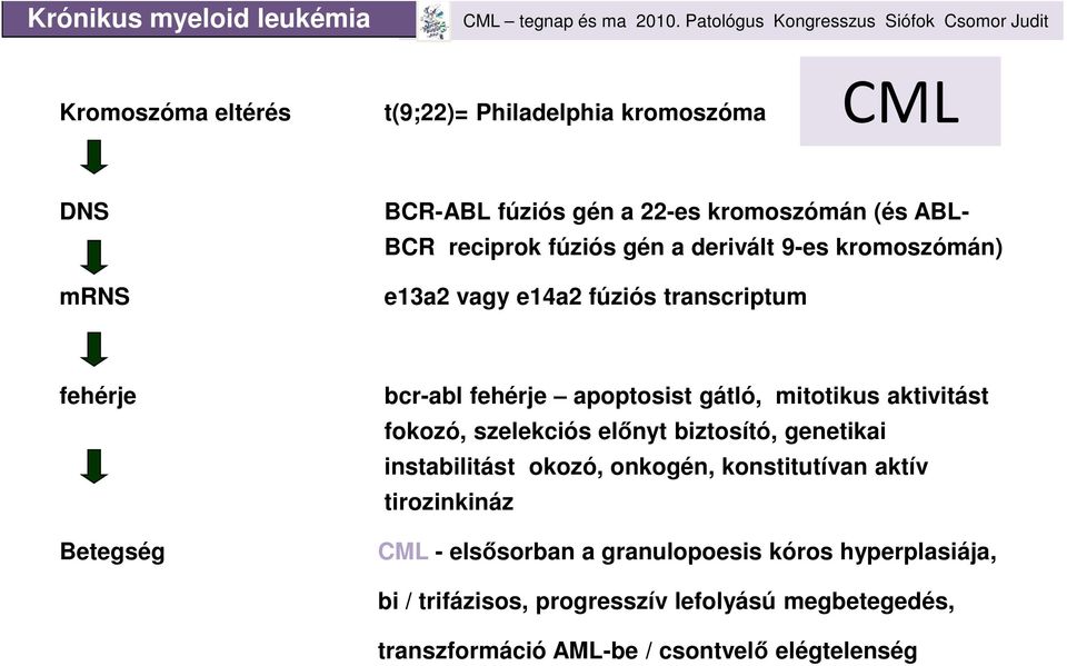 mitotikus aktivitást fokozó, szelekciós előnyt biztosító, genetikai instabilitást okozó, onkogén, konstitutívan aktív tirozinkináz CML -