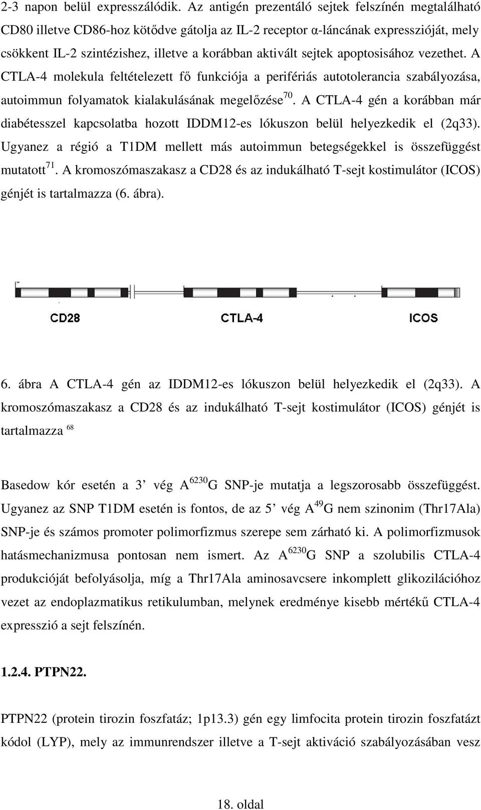 sejtek apoptosisához vezethet. A CTLA-4 molekula feltételezett fı funkciója a perifériás autotolerancia szabályozása, autoimmun folyamatok kialakulásának megelızése 70.