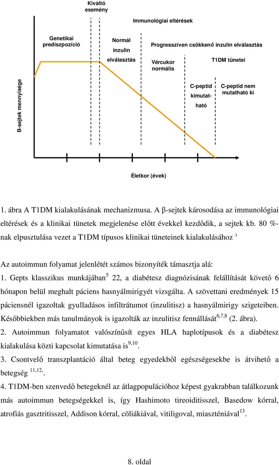 A β-sejtek károsodása az immunológiai eltérések és a klinikai tünetek megjelenése elıtt évekkel kezdıdik, a sejtek kb.