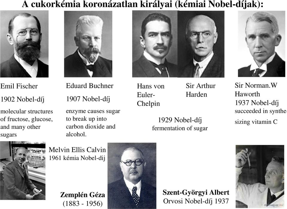ans von Euler- helpin Sir Arthur arden 1929 Nobel-díj fermentation of sugar Sir Norman.